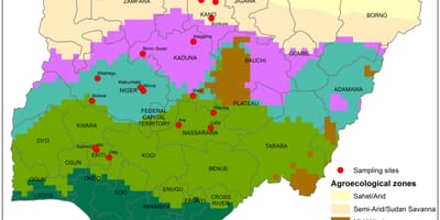 Kort over nigeria viser afgrøde distribution