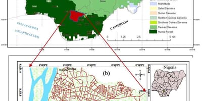 Kort over nigeria viser vegetation bælter