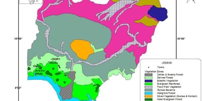 Kort over nigeria viser vegetation